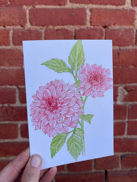 Watercolor Dahlia '25
