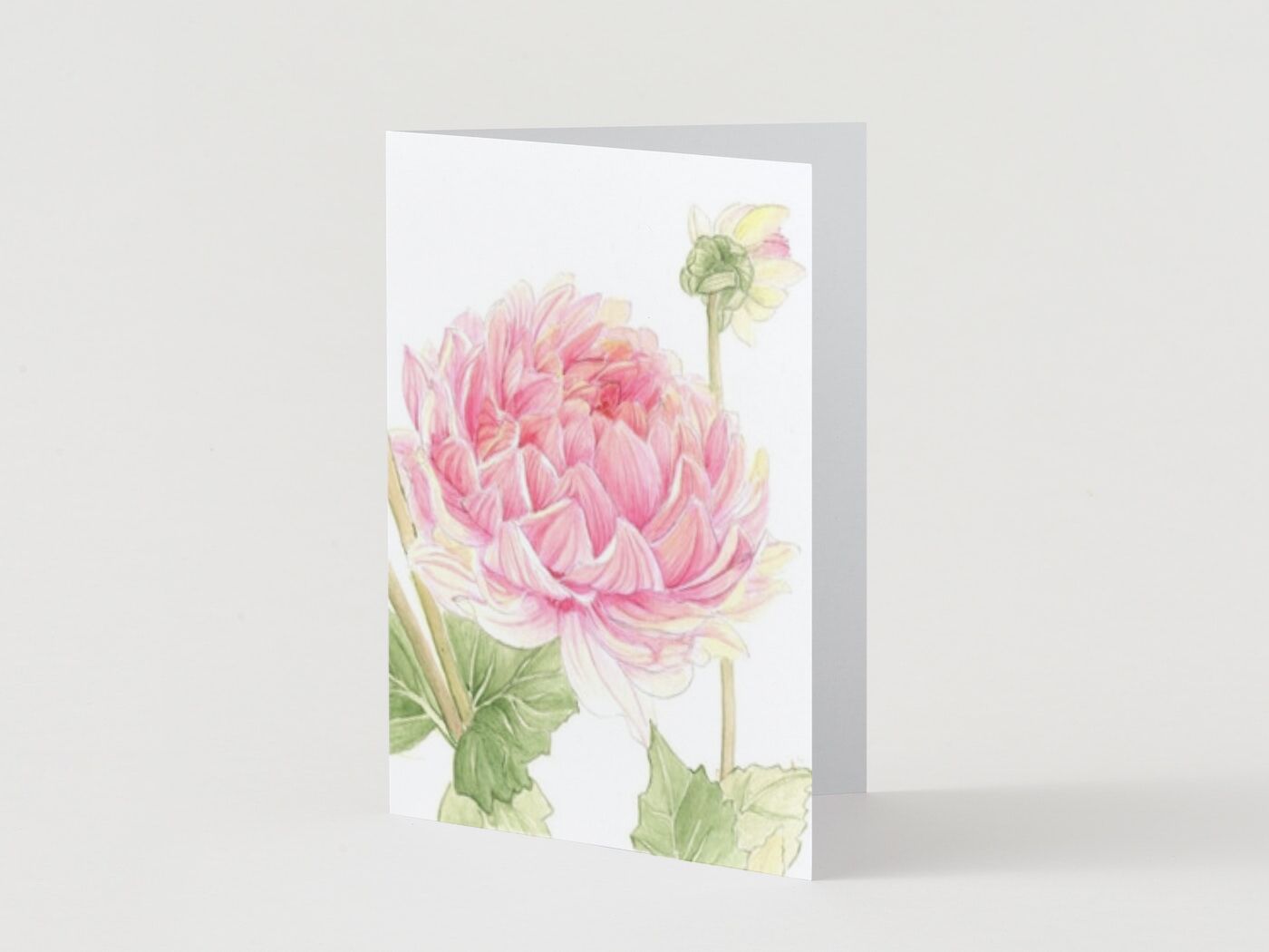 Watercolor Dahlia '26